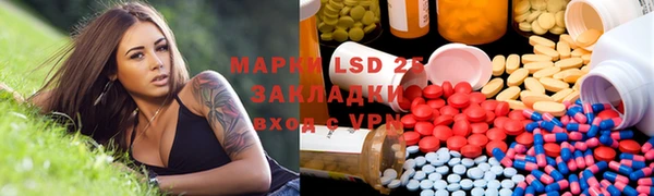 эйфоретик Аркадак